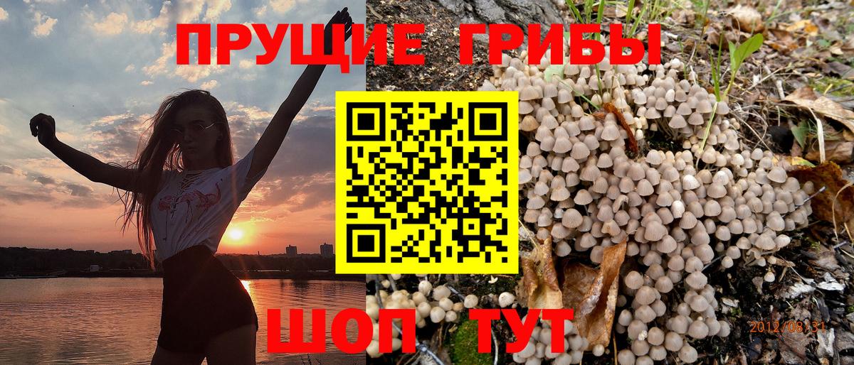 Псилоцибиновые грибы мицелий Краснодар