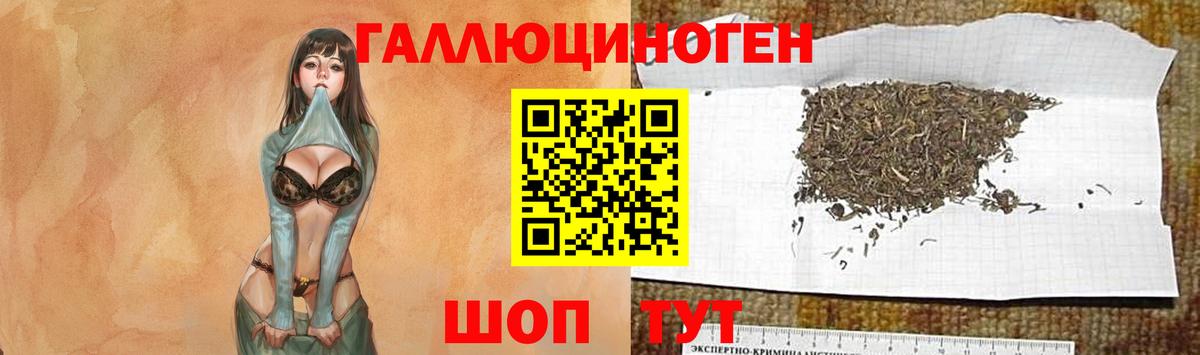 Псилоцибиновые грибы Psilocybe  даркнет сайт  Краснодар  Вход с VPN  Псилоцибиновые грибы Magic Shrooms 